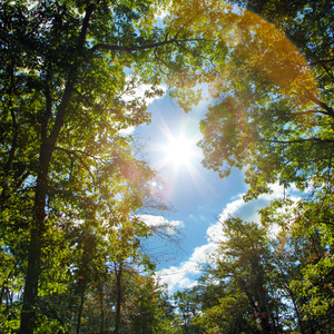 夫妻参加蒙面舞会的电影叫什么
